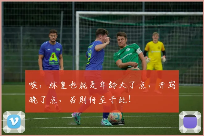 唉，林皇也就是年龄大了点，开窍晚了点，否则何至于此！