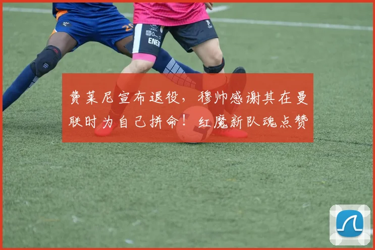 费莱尼宣布退役，穆帅感谢其在曼联时为自己拼命！红魔新队魂点赞