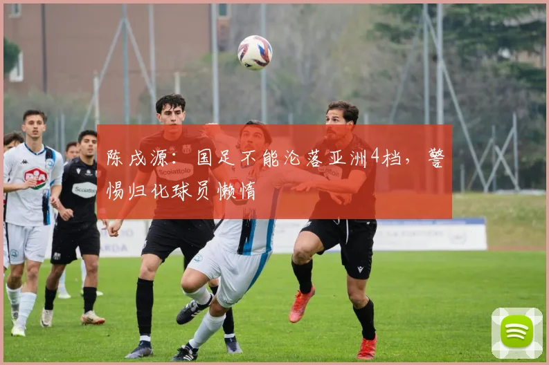 陈戌源：国足不能沦落亚洲4档，警惕归化球员懒惰