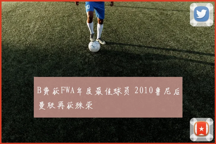 B费获FWA年度最佳球员 2010鲁尼后曼联再获殊荣