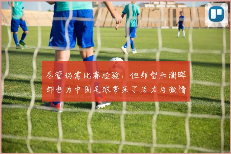 尽管仍需比赛检验，但郑智和谢晖却也为中国足球带来了活力与激情