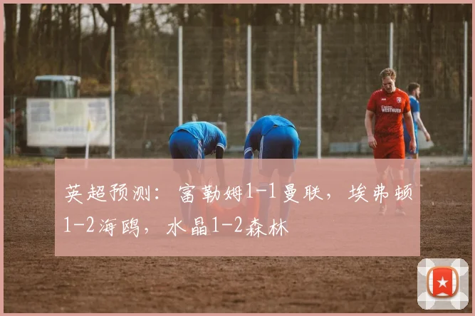 英超预测：富勒姆1-1曼联，埃弗顿1-2海鸥，水晶1-2森林