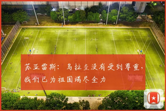 苏亚雷斯：乌拉圭没有受到尊重，我们已为祖国竭尽全力