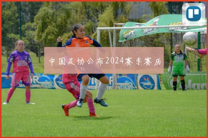 中国足协公布2024赛季赛历
